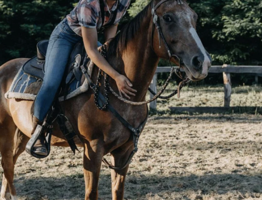 Konjički klub Ranch Tobiano – western škola jahanja