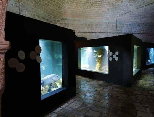 Aquarium Dubrovnik