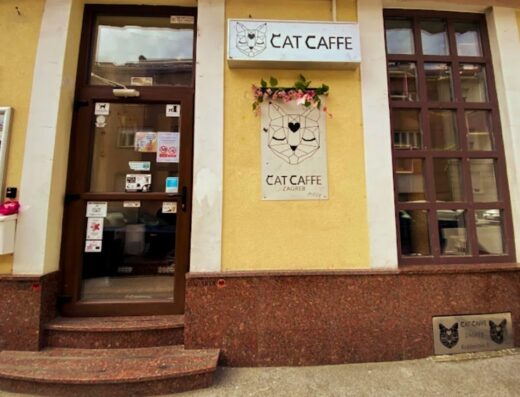 Cat Caffe Zagreb