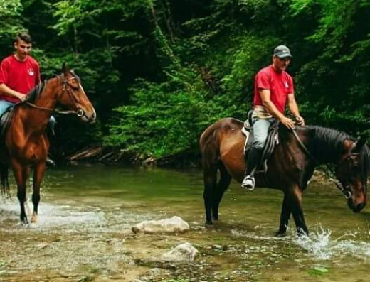 Equestrian club Rakovica