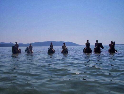Horse and Swim Croatia, Konjicki klub Vencel