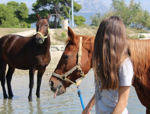 Horse Riding Centre Split Trogir Hanako Dalmacija(Konjički klub Trogir Hanako)