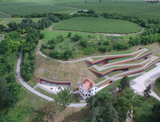 Muzej vučedolske kulture
