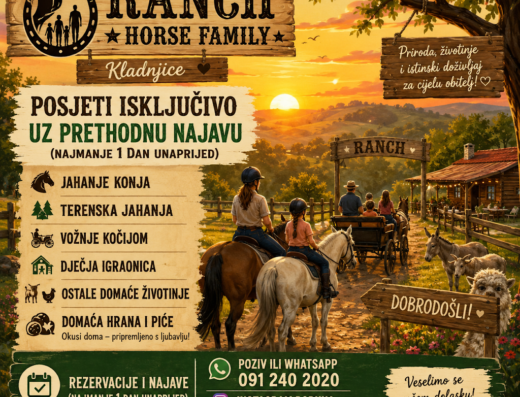 Ranch Horse Family