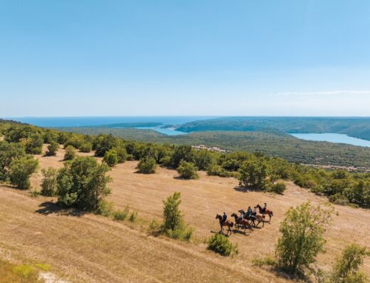 Ranch Marconi