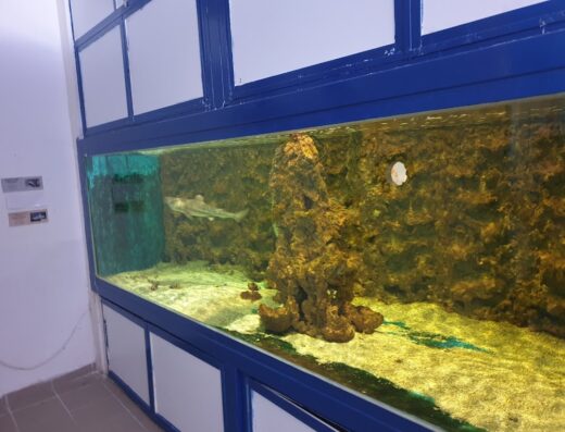 Tropical aquarium Krk