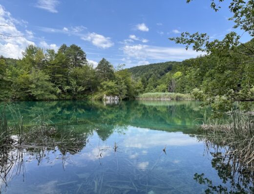 Vidikovac 5